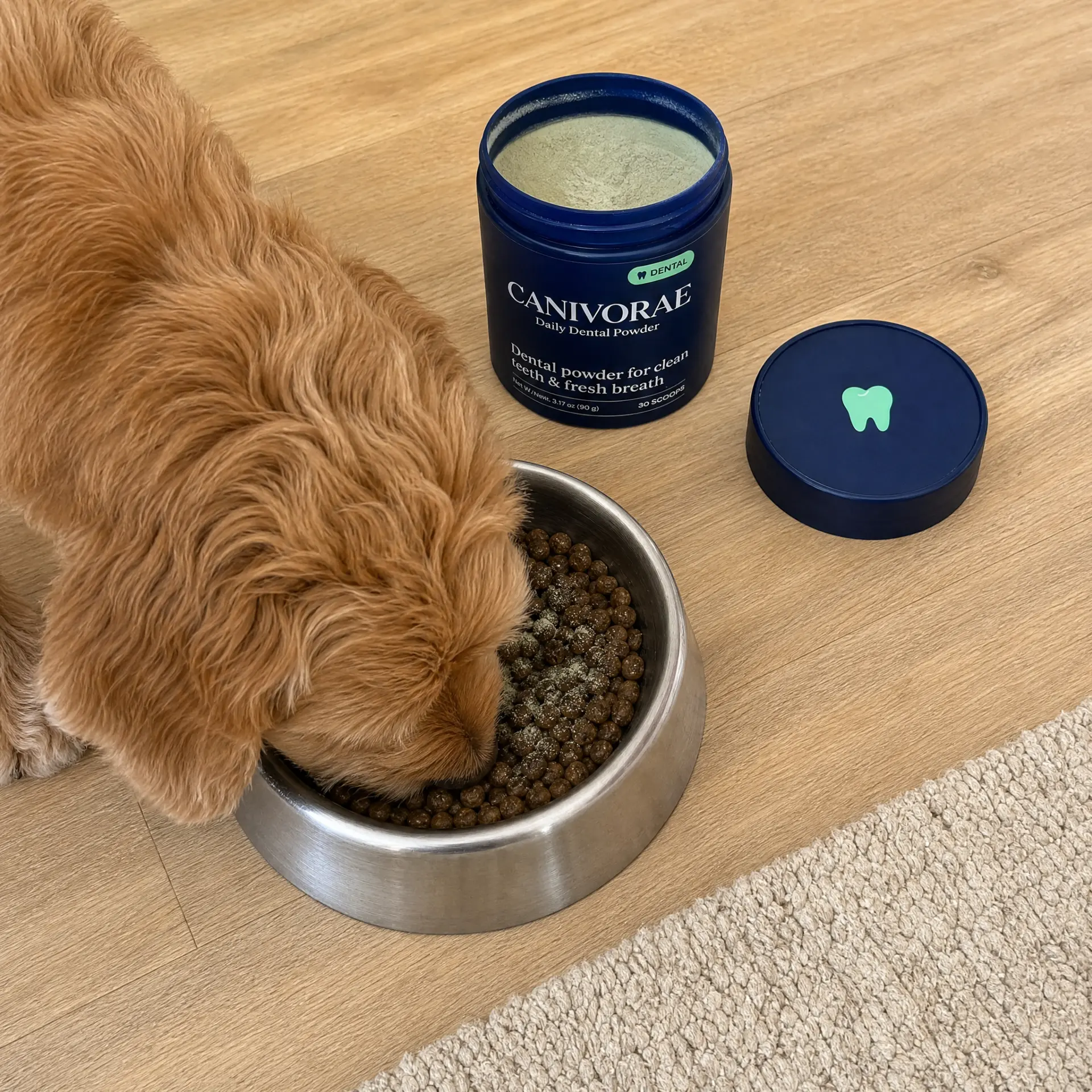 Dog eating its food with CANIVORAE dental powder mixed in